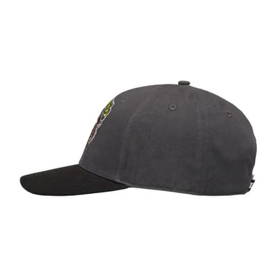 Snapback pet DC Shoes Couch Chilling