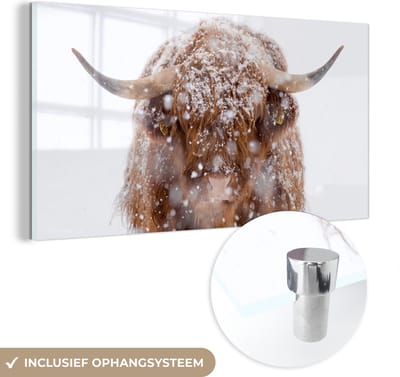 MuchoWow® Glasschilderij 40x20 cm - Schilderij acrylglas - Schotse Hooglander - Horens - Sneeuw - Foto op glas - Schilderijen