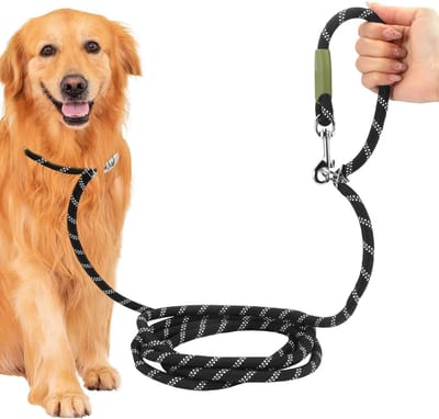 Verstelbare Hondenriem van 2.8 m voor Grote Honden tot 60 kg met 2 Karabijnhaken en Reflecterende Sterkte tot 200 kg