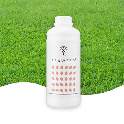 MOOWY Seaweed+ Gazonmest - voor 400m² - Bij Hitte en Droogte - 100% natuurlijk zeewierextract