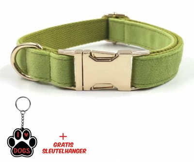 SilverAndCoco® - Groene Honden Halsband met Gratis Sleutelhanger | Velvet Hond Puppy Bandje | Hondenhalsband Suède Gouden | Kleding Decoratie | Hondenbandje Huisdier - Groen / Goud