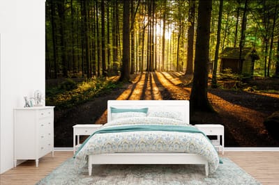 Behang - Fotobehang Zon - Bomen - Bos - Landschap - Natuur - Breedte 385 cm x hoogte 240 cm