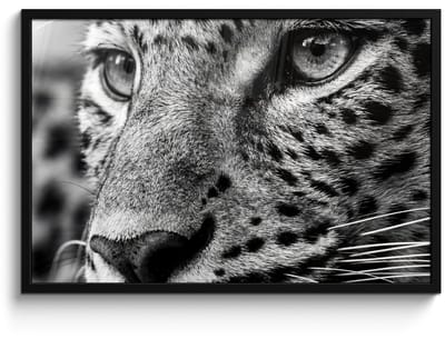 Poster in lijst - Fotolijst 90x60 cm - Posters - Luipaard - Zwart - Wit - Oog - Posterlijst zwart - Decoratie - Wanddecoratie woonkamer - Muurdecoratie slaapkamer