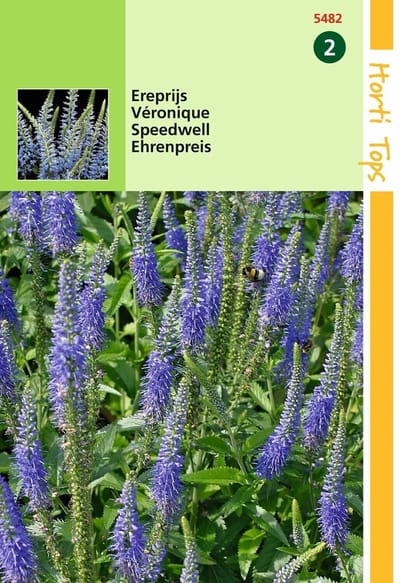 2 stuks Hortitops Veronica Spicata Ereprijs Blauw