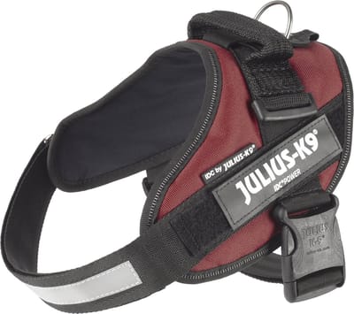 Julius-K9 IDC®Powertuig, M - maat 0, claret bruin