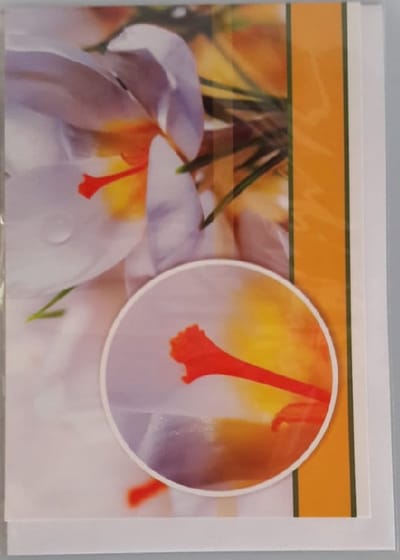 Een blanco kaart met een afbeelding van een bloem. Een leuke kaart om zo te geven of om bij een cadeau te voegen. Een dubbele wenskaart inclusief envelop en in folie verpakt.