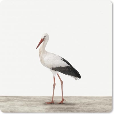 Muismat 20x20 cm - Mousepad Dieren - Ooievaar - Wit - Muismatten