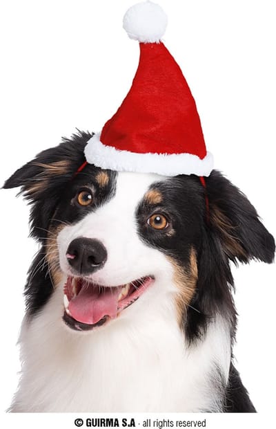 Fiestas Guirca - Kerstmuts voor dieren