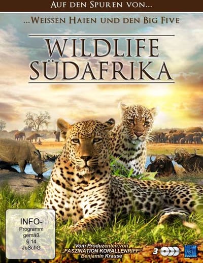 Wildlife Südafrika - Auf den Spuren von weissen Haien und de