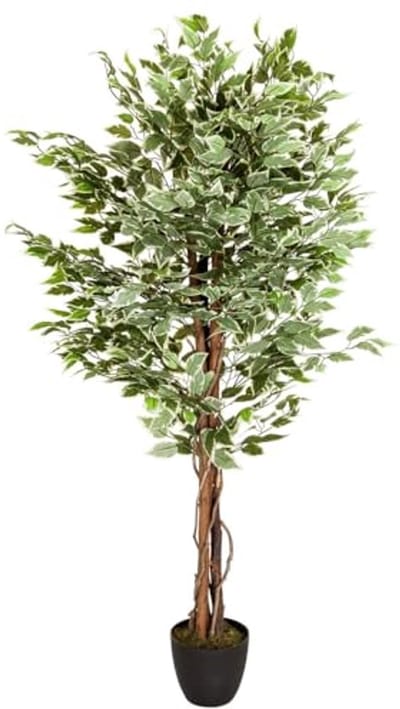 Kunstplant Ficus Benjamini 165 cm - Realistische Decoratie voor Binnen