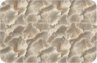Badmat 60x40 cm - Antislip - Waaierstructuren - Beige - Vezeltextuur - Badmatten voor badkamer - Badkamermat - Douchemat - Badkamer mat