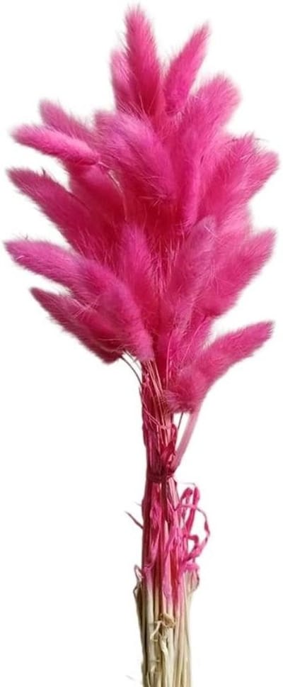 Gedroogd Pampasgras - Droogbloemen Boeket - Decoratie Woonkamer - Natuurlijke Schoonheid - 50 Stuks 60cm - Rozerood