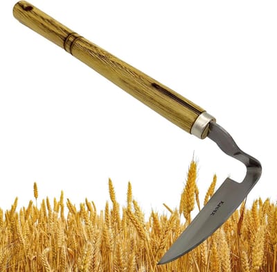 Wiedsikkel Tuingereedschap - Handige Sikkel - Onkruid Verwijderen - Roestvrij Staal - 38 x 13 cm - Zilver