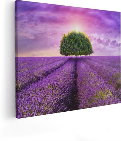 Artaza Canvas Schilderij Lavendelveld - 50x40 cm - Wanddecoratie Boom - Muurdecoratie Natuur - Kamer Accessoires Landschap - Paars