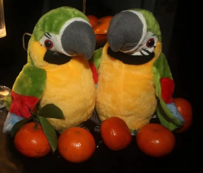 Knobbout Hello Kids, Lemon de sprekende papegaai-1 stuk
