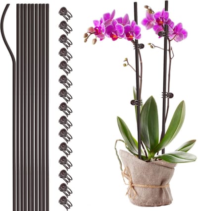 Plantenclips, metalen plantenondersteuning, plantensteunklem voor tuinpalen (40 cm)