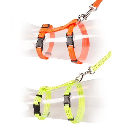 Duvoplus - Uitlaatriem Voor Dieren - Kat - Kat Wandelset Refelecterend Uni 20-35cm / 10mm - 125cm Oranje/geel - 1st