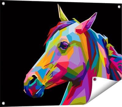 Gards Tuinposter Kleurrijke Paardenkop - Paard - Abstract - 80x60 cm - Tuindoek - Tuindecoratie - Wanddecoratie buiten - Tuinschilderij