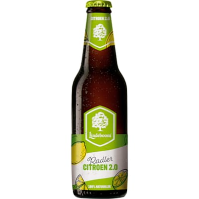 CITROEN RADLER 2.0