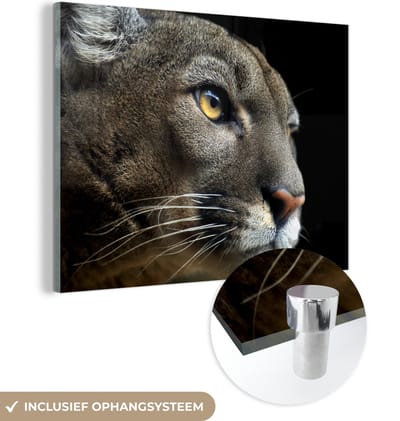MuchoWow® Glasschilderij 160x120 cm - Schilderij acrylglas - Poema - Wilde dieren - Portret - Foto op glas - Schilderijen
