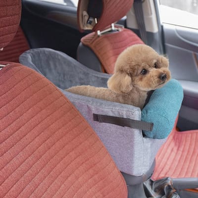 Autostoelverhoger voor Huisdieren - Beige en Blauw - Veiligheid en Comfort voor Kleine Honden en Katten