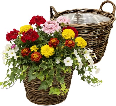VD Leeden Plantenmand Twijg - 2x - rond - bruin - 30 x 23 cm - rotan - gevlochten riet - bloempot