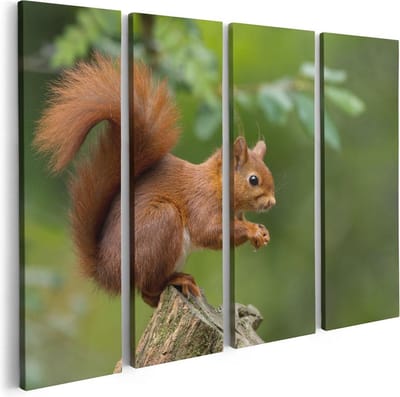 Artaza Canvas Schilderij Vierluik Eekhoorn op een Boomstam in het Bos - 80x60 - Foto Op Canvas - Canvas Print