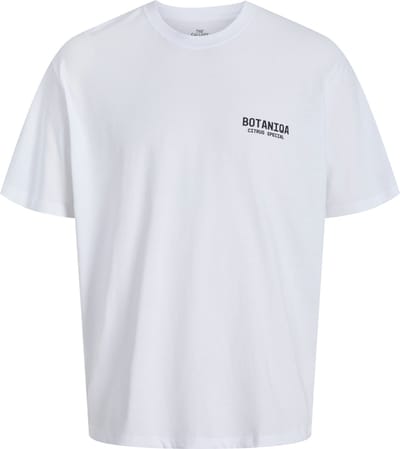 JACK&JONES - JORBOTANIQ TEE SS CREW NECK TG PLS - Heren - T-shirts