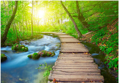 Fotobehangkoning - Behang - Vliesbehang - Fotobehang Groen Bos - Green forest - 400 x 280 cm