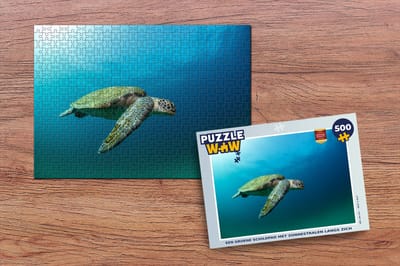 Puzzel Een groene schildpad met zonnestralen langs zich - Legpuzzel - Puzzel 500 stukjes