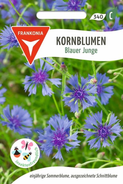 Korenbloem, Blue Boy - Bestseller bloemzaden