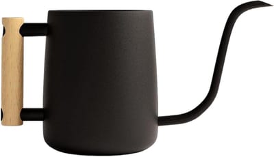 Gieter Kamerplanten - Kleine Gieter Metaal - Planten Water Geven - Lange S-vormige Uitloop - 190 ml - Zwart