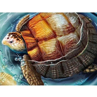 5D DIY Diamond Painting  Zeeschildpadden Koning  Borduursteentjes Mozaïek Muur Home Decor Schildpad Dier 20X30CM