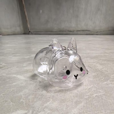 **Boîte de Rangement Transparente Mémoire Poils d'Animaux Dessinés Porte-clés Organisateur Fourrure de Lapin Animal Mignon Porte-clés Pendentif Souvenirs pour Animaux gray