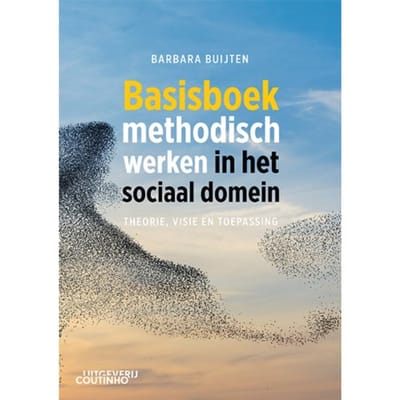 Basisboek Methodisch Werken In Het Sociaal Domein - Barbara Buijten