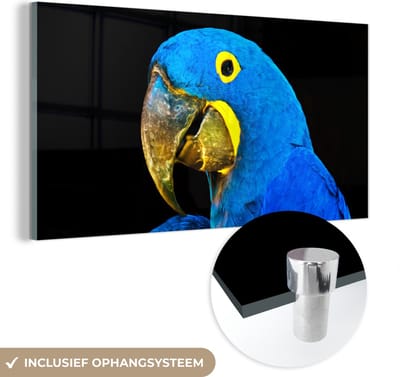 MuchoWow® Glasschilderij 40x20 cm - Schilderij acrylglas - Papegaai - Vogel - Veren - Blauw - Foto op glas - Schilderijen