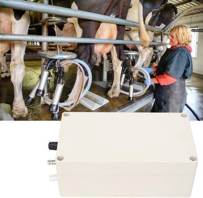 Draagbare Elektrische Vacuümpomp 12V voor Melken van Vee