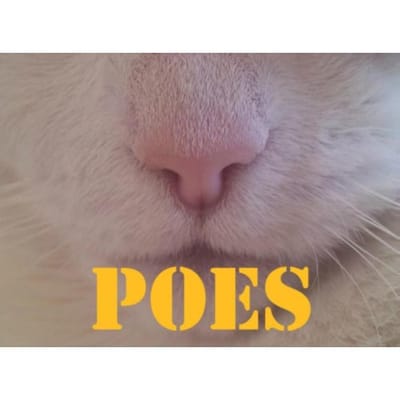 Poes - Cathy Geerling