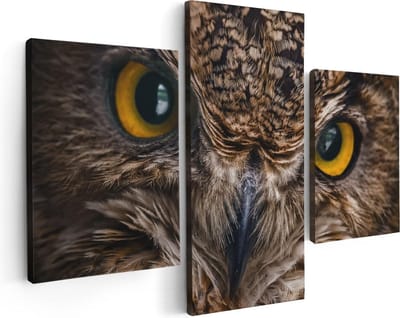 Artaza Canvas Schilderij Drieluik Uilenkop Met Gele Ogen - Uil - 90x60 - Foto Op Canvas - Canvas Print