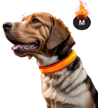 Bovista Lichtgevende Halsband - Verlichte Halsband - Lichtgevend - Hond - Kat - Lampje - Hondenhalsband Led - Oplaadbaar - Glow In The Dark - Oranje - M