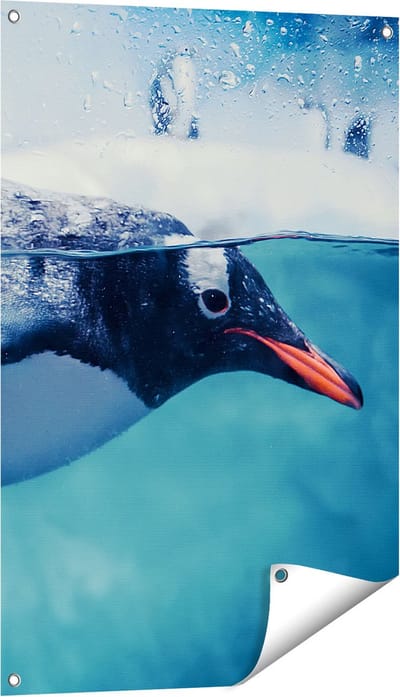 Gards Tuinposter Pingu�n Zwemt in het Water - 60x90 cm - Tuindoek - Tuindecoratie - Wanddecoratie buiten - Tuinschilderij
