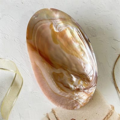 Natuurlijke schelp gepolijste fruitschaal kaviaarschaal hoteltafel shooting props schelpschaal parelmoer dienblad