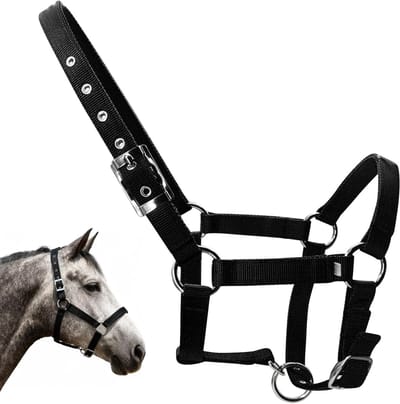 Grappige Houten Paard Tuig met Teugels, Speelgoed voor Kinderen, Paardenspeelgoed, Creatief Spel en Educatief Speelgoed, One Size