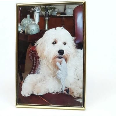 AL - Fotolijst - Goud - Bol - 22 x 28 cm