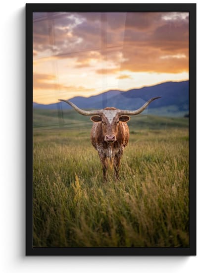 Poster in lijst - Fotolijst 40x60 cm - Posters - Longhorn - Landschap - Zonsondergang - Posterlijst zwart - Decoratie - Wanddecoratie woonkamer - Muurdecoratie slaapkamer