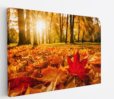 Saammp Canvas Schilderij - Rood Herfst Blad - Natuur - Bloemen - 45x30 - Foto op canvas - Wanddecoratie - Muurdecoratie Woonkamer - Slaapkamer decoratie - Canvas Print