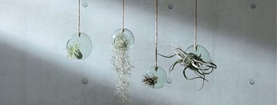 L.S.A. - Canopy Plantenhanger ø 10 cm - Gerecycled Glas - Transparant -