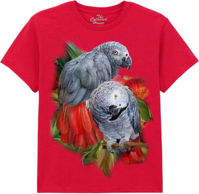 KIDS Roodstaart African Greys The Coloured House KIDS T-shirt XL