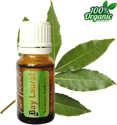Laurier etherische Olie 10 ml | Bay Laurel Oil | 100% PUUR | Bio | Essentiële olie Aromatherapie | Olie diffuser | Geschikt voor inname | Pure Naturals