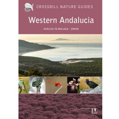 Western Andalucia - Crossbill Guides - Dirk Hilbers